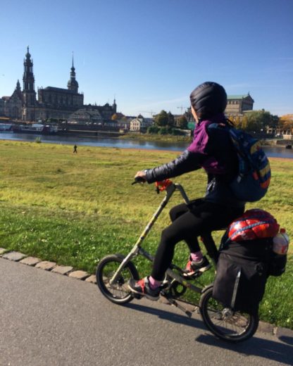 Topeak TrunkBag für Strida - Velcro - Tasche - topeak