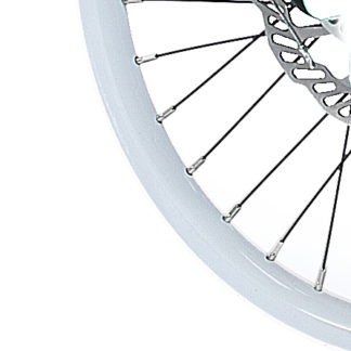 Weißes 18-Zoll-Aluminium STRIDA Speichen-Laufrad vorne - 18 Zoll - 448-18-spoke-white-front - Rad