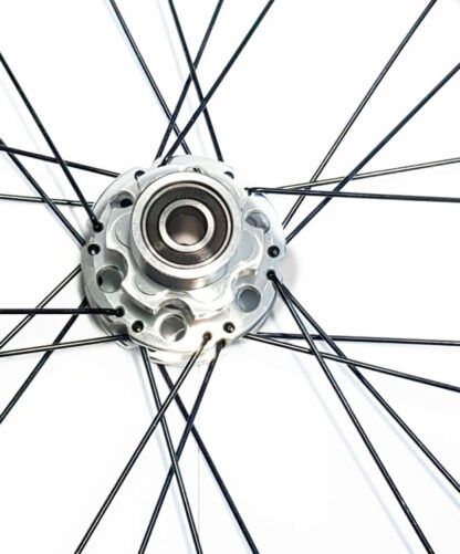 16 pouces roue à rayons arrière STRIDA en aluminium (noir) - 448-16-spoke-black-rear - frein - Roue